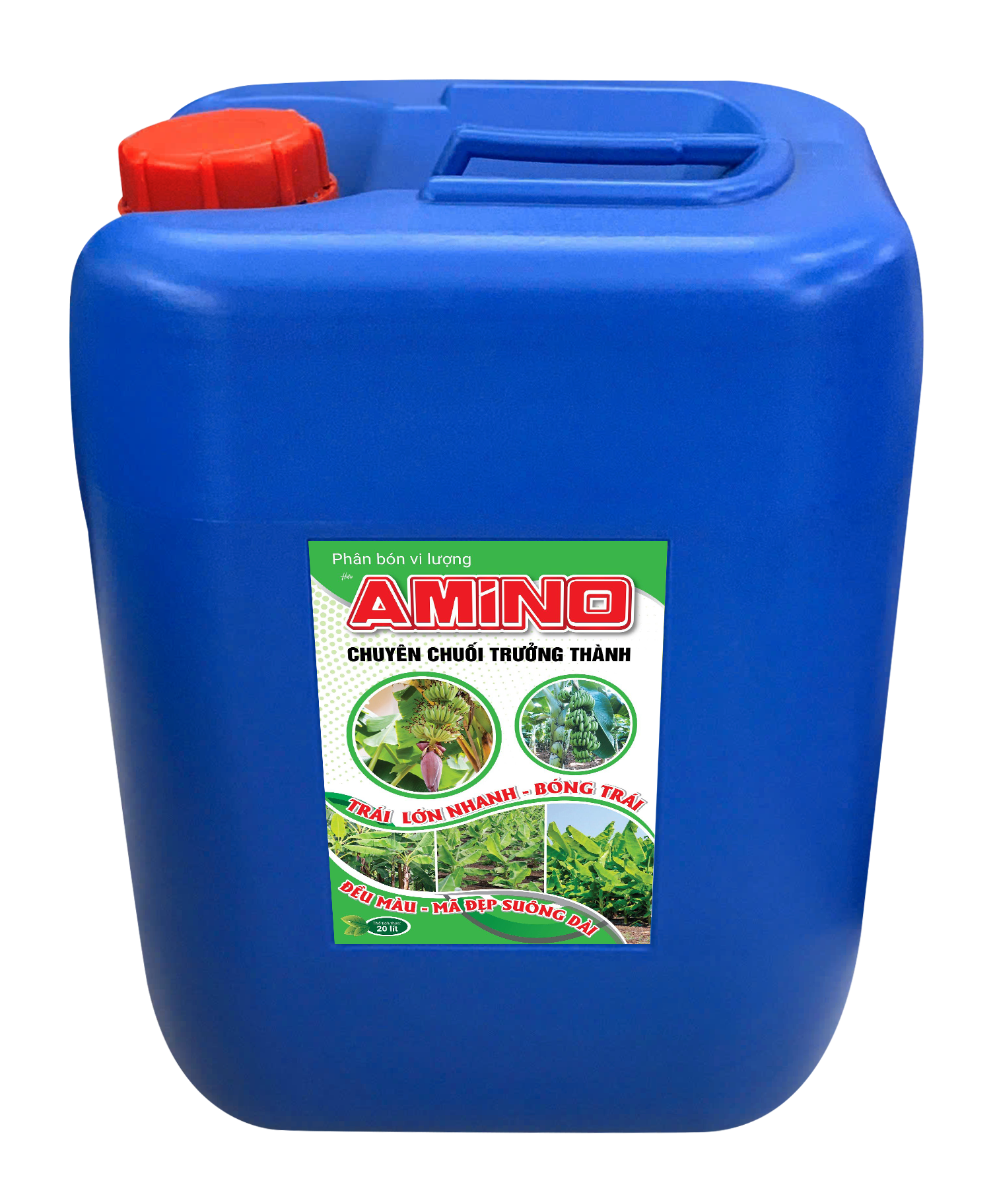 AMINO CHUYÊN CHUỐI TRƯỞNG THÀNH