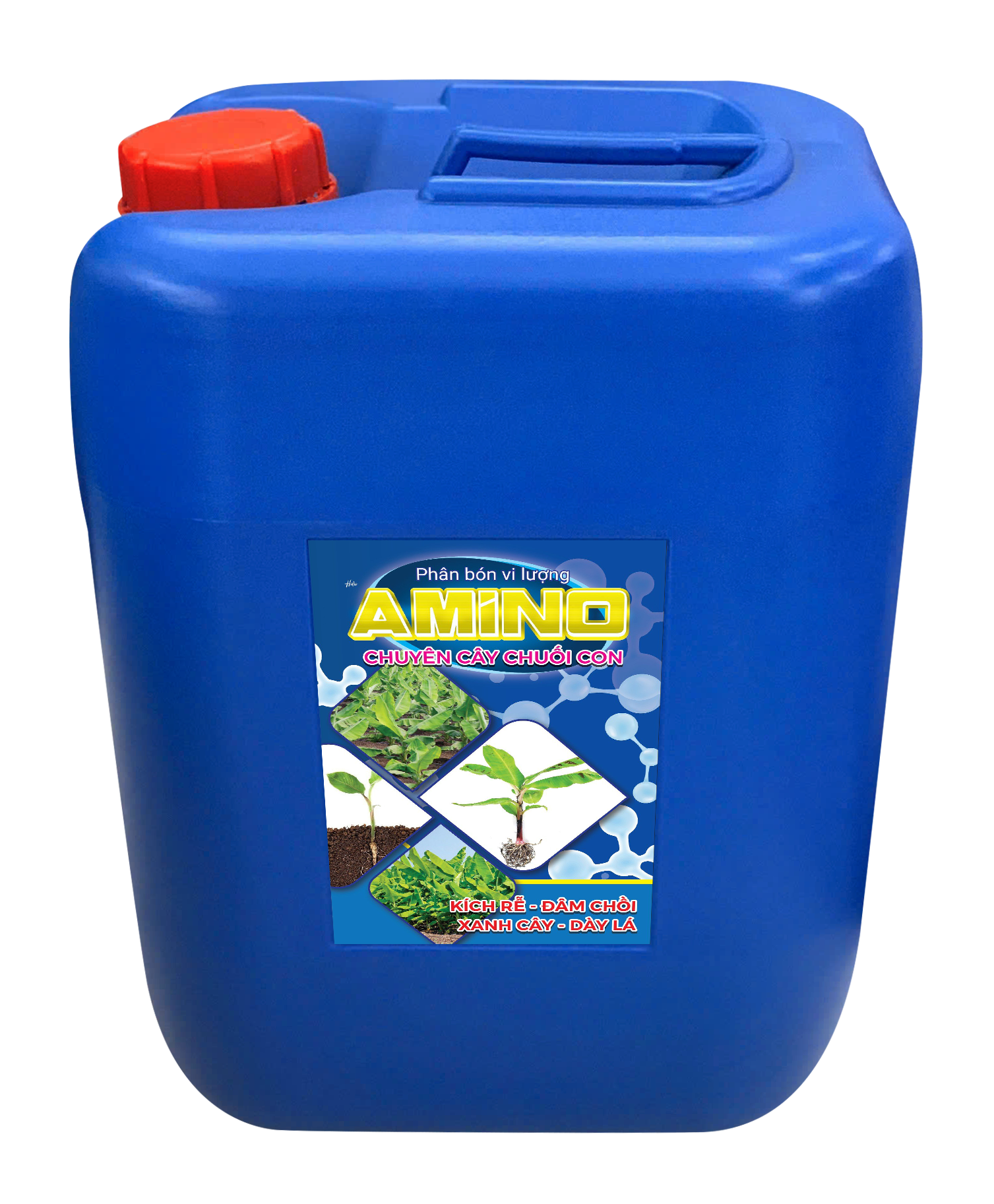 Amino Chuyên Cây Chuối Con