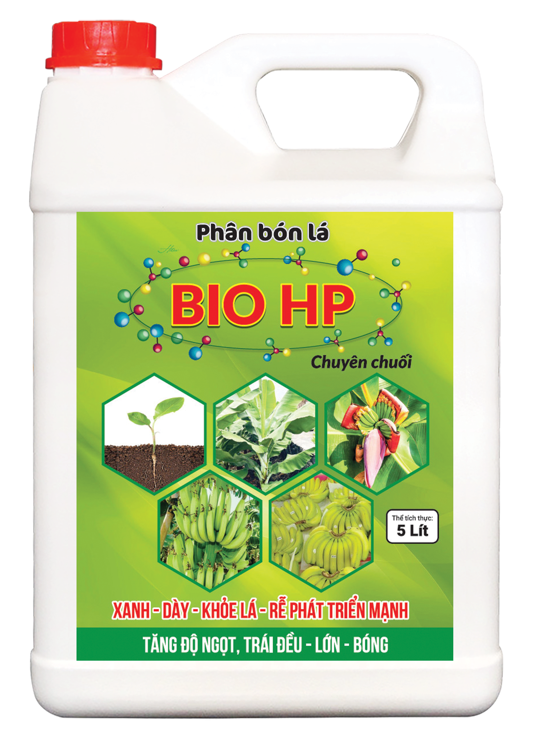 BIO HP(Chuyên chuối)
