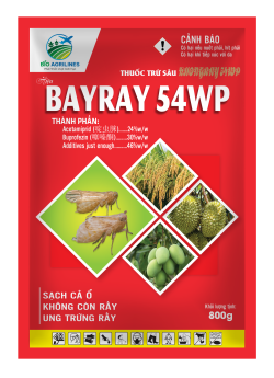 BAYRAY 54WP