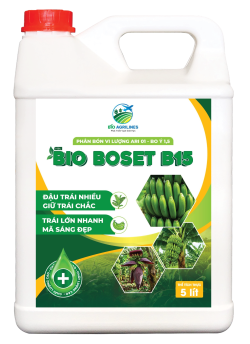 BIO BOSET B15