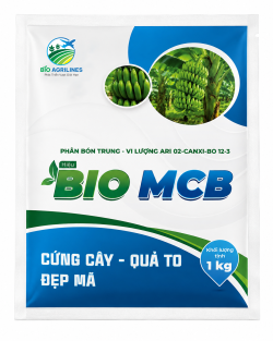 BIO MCB