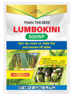 LUMBOKINI 500WP