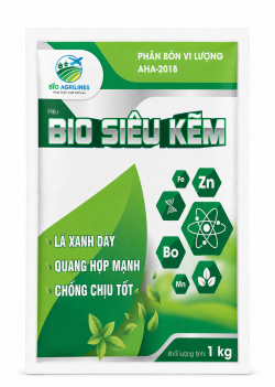 BIO SIÊU KẼM