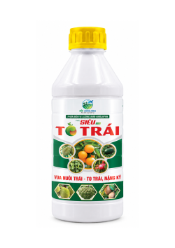 SIÊU TO TRÁI